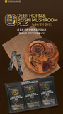 Sika Deer Antlers & Reishi Mushroom Red Ginseng PLUS Extract 15ml x 30 | 강원인삼농협 녹용영지버섯 농축액